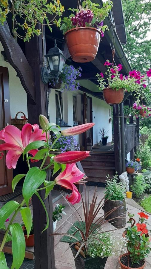 Apartament Pokój w Karpaczu Zewnętrze zdjęcie